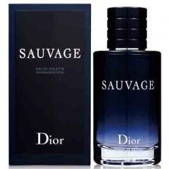 Christian Dior 迪奧 曠野之心男性淡香水100ml 